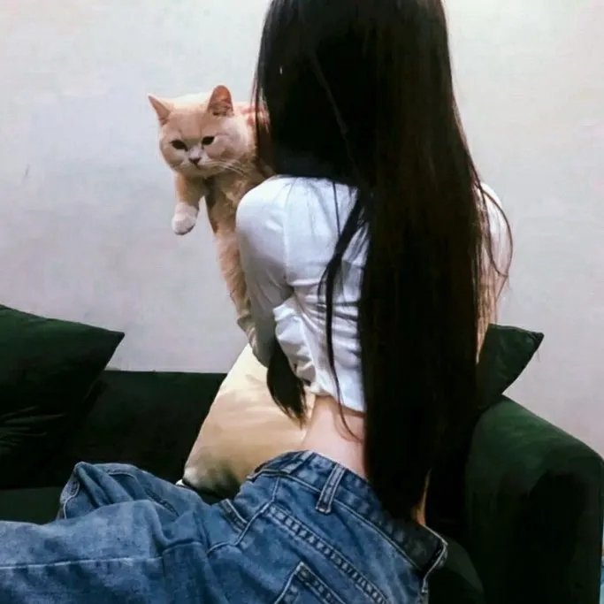 阴羚