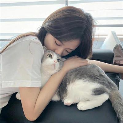 朱门情仇